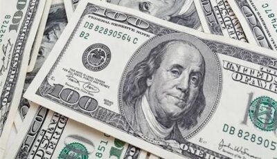 استقرار سعر الدولار الأمريكي أمام الجنيه بداية تعاملات اليوم 13 أغسطس