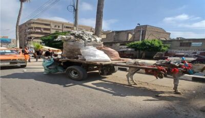 محافظ الدقهلية يتابع حملة حي غرب المنصورة للتصدي لظاهرة “النباشين”
