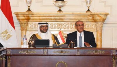 وزير الخارجية يبحث مع القطاع الخاص سبل دعم توسع الشركات المصرية في إفريقيا
