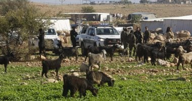 “بتسيلم”: 47 عائلة فلسطينية تواجه خطر التهجير الوشيك فى الإغوار