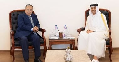 نبيل فهمى يبحث مع رئيس الوزراء القطرى تطورات المنطقة وتعزيز التنسيق العربى