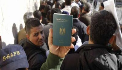 خارجية النواب تحيي المصريين بالخارج: أنتم سند حقيقي للوطن