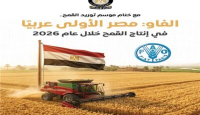 “الفاو”: مصر الأولى عربيًا في إنتاج القمح خلال عام 2026