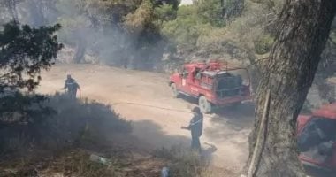 الجزائر: إخماد 30 حريقا من أصل 43 خلال الساعات الـ24 الأخيرة