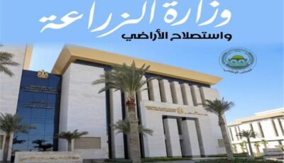 الزراعة: صرف أكثر من 11.514 مليار جنيه لتمويل المشروع القومي للبتلو