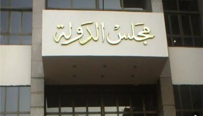 فارة بها سلك تثير الذعر داخل مجلس الدولة 