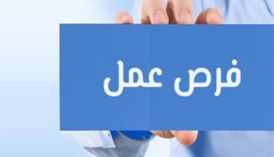 2594 فرصة عمل جديدة في 10 محافظات بالتعاون مع 38 شركة خاصة