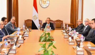 وزير الخارجية يتابع مستجدات إنشاء منصة الخدمات القنصلية للمصريين بالخارج  