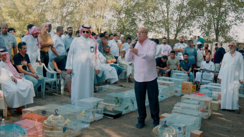 بيئة مكة تقود جهود تطوير تربية الحمام اللاحم بورش تدريبية متخصصة