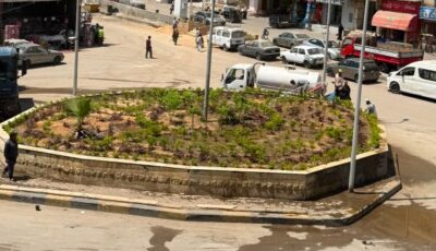 زراعة أحواض الزهور بميدان المطافئ في المنيرة الغربية