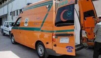 الدقهلية.. إصابة سيدة إثر تصادم قطار بها في محطة طلخا