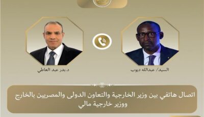 وزير الخارجية ونظيره المالي يبحثان سبل تعزيز العلاقات
